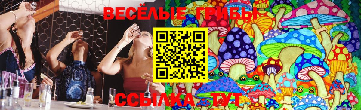 Унеча  Галлюциногенные грибы Cubensis  Вход с VPN 