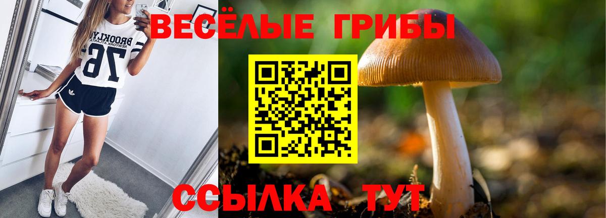 Галлюциногенные грибы мухоморы Унеча